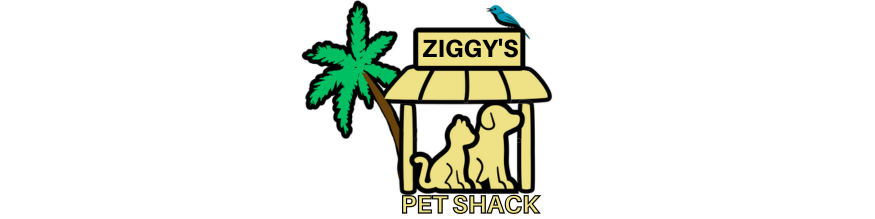 Ziggy's Pet Shack